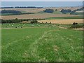 Farmland near Sutton Veny