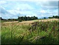 South West from South Hillhead