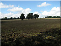 Ploughed field near Lodge Farm