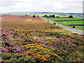 Brow Moor and Brow Top Road