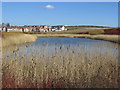 Drainage Pond on Linburn Road