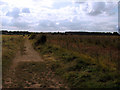 Path through field, Clipstone