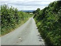 Quiet Welsh lane