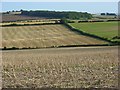 Farmland, Piddletrenthide