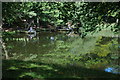 Fishermen reflected in Fachwen Pool