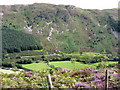 View down towards the floor of the Mawddach Valley around Dol-y-clochydd