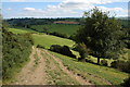 The Severn Way, near Aberhafesp