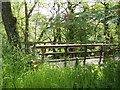 Small bridge over Catter Burn