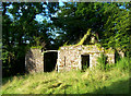 Ruined barn