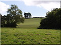 Fields by Marsh Farm