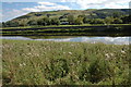 The River Severn near Aberhafesp