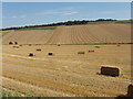 Harvested fields