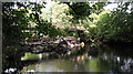 Footbridge over the Nidd.