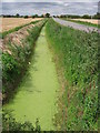 Drain Alongside The A1031