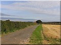 Welby Pastures Farm from the eastern side of the hedge