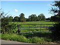 View east across Mill Common from Honing Road