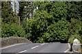 The Quoile Bridge near Downpatrick (2)