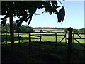 TL9342 : Countryside View by Keith Evans