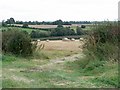 Farmland next to Bagworth Road