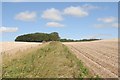 Wharram Percy Farm - Western Copse