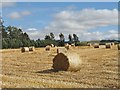 Newly baled straw, Drumkilbo Cottage