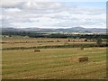 Baled straw, Kinpurney