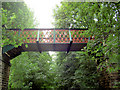 Footbridge over the Trans Pennine Trail.