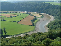 ST5296 : Wye Valley View from Eagle's Nest on Wynd Cliff by Nick Mutton 01329 000000