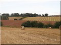 Straw bales, Polwarth Rhodes