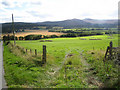 Fields below Letterbeg