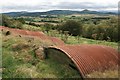 Abandoned Pig Sheds, Upsall Moor