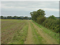 Farm track near Eastfields Farm, Waddingham