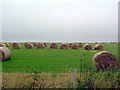 Hay bales at Strathcoul