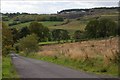 Carneary Lane near Antrim (1)