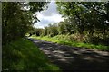 Carneary Lane near Antrim (2)