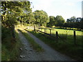 Track (public right of way) heading south towards Sychnant