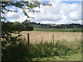 Farmland at Home End