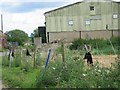 Farm buildings and dead crows.