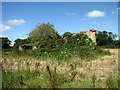 Ruined building in field near Osier Lane