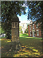 Fountain, The Green, Welton