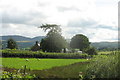 A singular tree in front of  Braich-y-fedw farmhouse