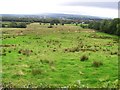 Carnamoney Townland