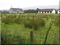 Cornamoney Townland