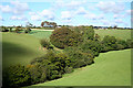 Stoke Rivers: towards Barnacott