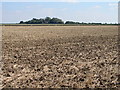 Thorpe House From a Distance