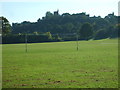 Bridgnorth Goalposts