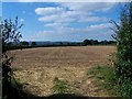 Field Next To Ollerton Lane