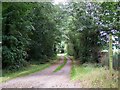 Footpath, Goldstone Common