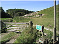 Stile and path to Teinside Wetlands