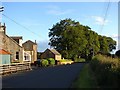 Bushelhead Road (near Braidwood)